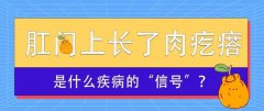 肛门上有个肉疙瘩是什么？