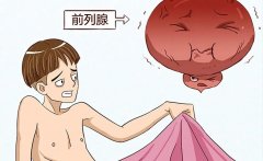 “腺”在长大——肆意生长的它，压迫