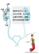 ＂精致＂外科，精于医道，致以完美—