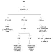 大便出血有几种情况？